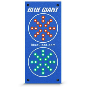 Blue Giant traffic lights